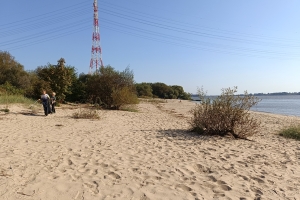 20240920 Cleanup Hetlingen