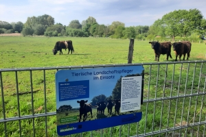 Foto_Schild_Landschaftspfleger-Minis-Autal