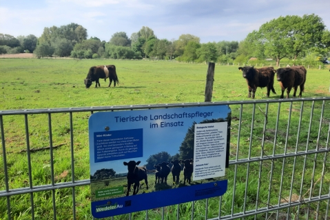 Tierische Landschaftspfleger