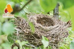 20220208_Nestfamilie mit Logo